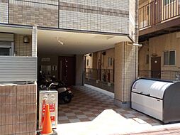 チェリーブロッサム