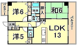 阪神本線 鳴尾・武庫川女子大前駅 徒歩4分 4階/-