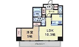 アミスター 1LDKの間取図画像