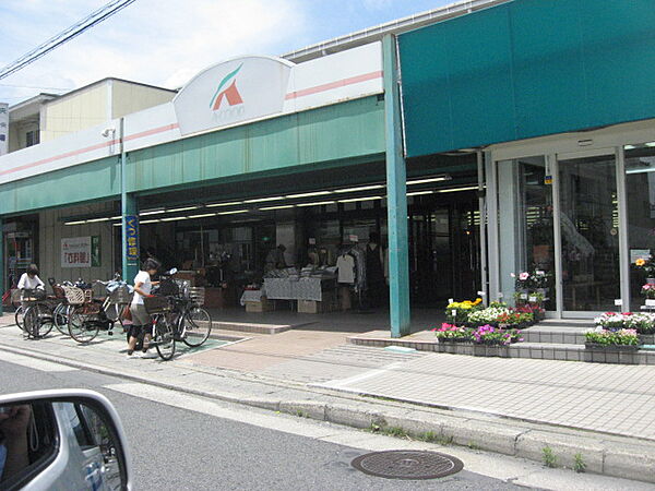 画像16:Aコープ京都中央岩倉店（763m）