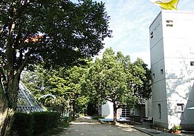 パセオ大住  ｜ 京都府京田辺市薪畠（賃貸アパート3LDK・2階・72.87㎡） その20