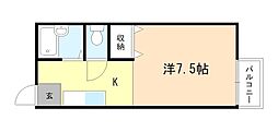 サニーハイツ中川C棟 1階/-
