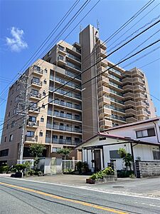 外観:外観 外観:外観