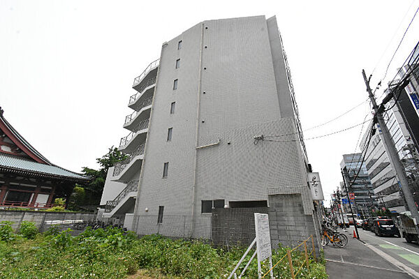 ラ・セネシオ