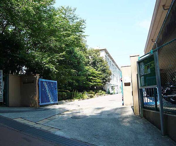 画像30:桃山東小学校まで410m 活気溢れる小学校です。