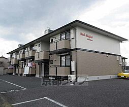 リアルコンフォート