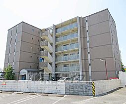 ガーデンシティ柳ヶ崎