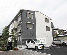 グレイスアムール