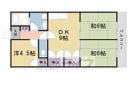 デラシオン御室 3階/305