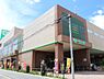 周辺：【スーパー】サミットストア 板橋弥生町店まで392ｍ