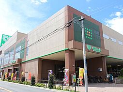 【スーパー】サミットストア 板橋弥生町店まで238ｍ