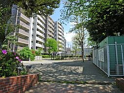 【公園】千川上水公園まで318ｍ