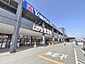 周辺：ホームセンタームサシ姫路店
