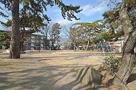 セレニテ甲子園2  ｜ 兵庫県西宮市甲子園高潮町（賃貸マンション1K・4階・23.80㎡） その6