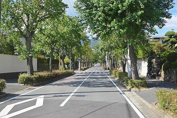 兵庫県芦屋市東芦屋町(賃貸マンション1DK・3階・24.75㎡)の写真 その24