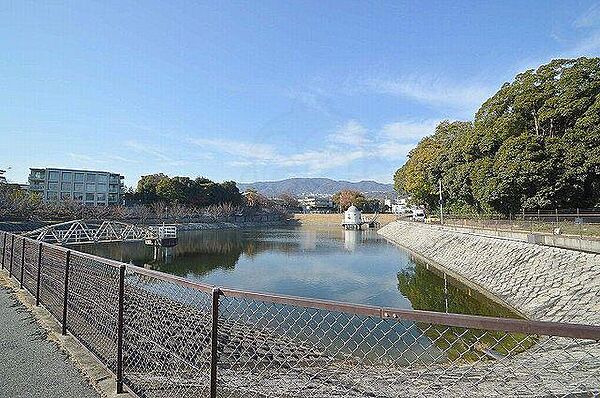 兵庫県西宮市瓦林町(賃貸マンション1LDK・4階・42.00㎡)の写真 その28