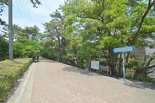 サンヨリカ ｜兵庫県西宮市本町(賃貸マンション1R・4階・24.00㎡)の写真 その16