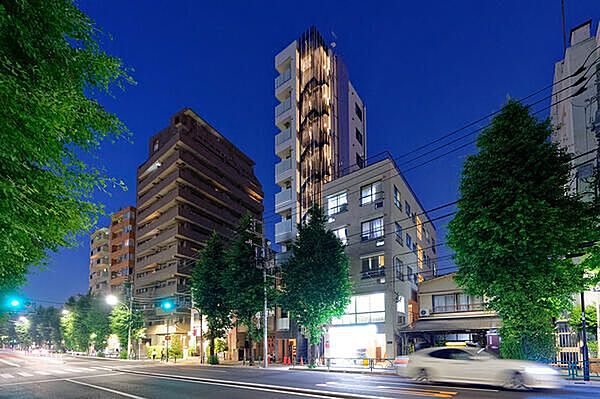 東京都文京区本駒込3丁目(賃貸マンション1LDK・9階・41.61㎡)の写真 その1