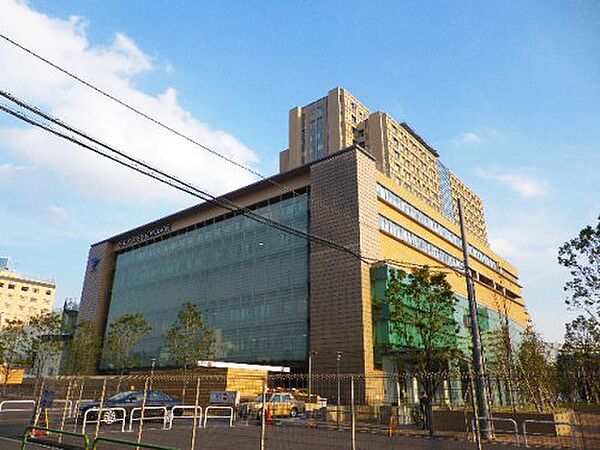 画像16:【総合病院】帝京大学 医学部附属病院まで393ｍ