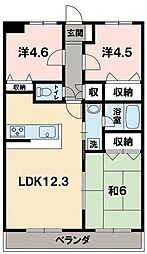 エスペラント・ハイツ・1 3LDKの間取図画像