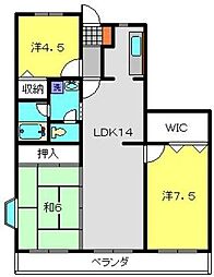 プラムハイツ丸山台 3LDKの間取図画像