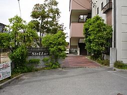 3 / 6