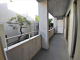 TERRAZZA芦屋川（テラッザ芦屋川）  ｜ 兵庫県芦屋市山芦屋町（賃貸マンション2LDK・1階・62.50㎡） その19