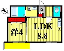 YSA南流山 1階1LDKの間取り