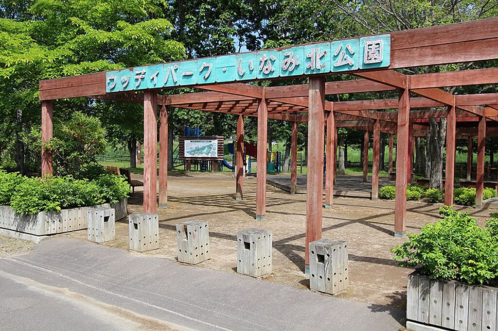Image 21