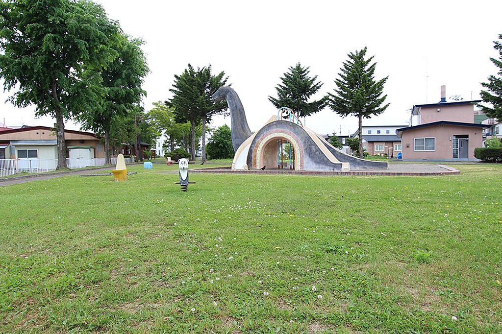 Image 13