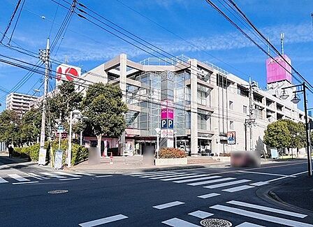 イオン臼井店 徒歩11分。 900m