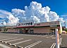 周辺：クスリのアオキ井野店 徒歩7分。 560m