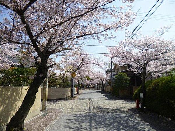 京都府向日市寺戸町二枚田(賃貸マンション1R・2階・16.00㎡)の写真 その13