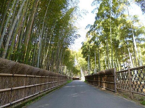 京都府向日市寺戸町渋川(賃貸マンション1K・3階・20.00㎡)の写真 その11