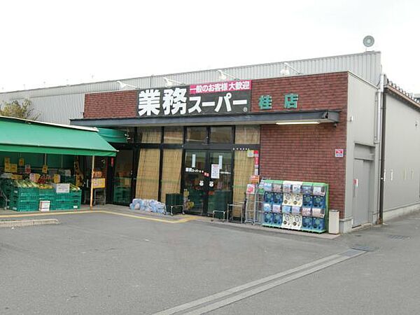 ノースビレッジ ｜京都府京都市西京区上桂北ノ口町(賃貸マンション1K・3階・22.61㎡)の写真 その20