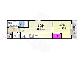 ブランドールO&M 1DKの間取図画像