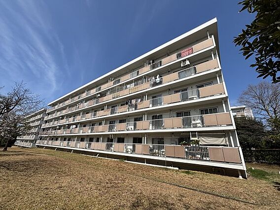 豊ケ丘団地の中...