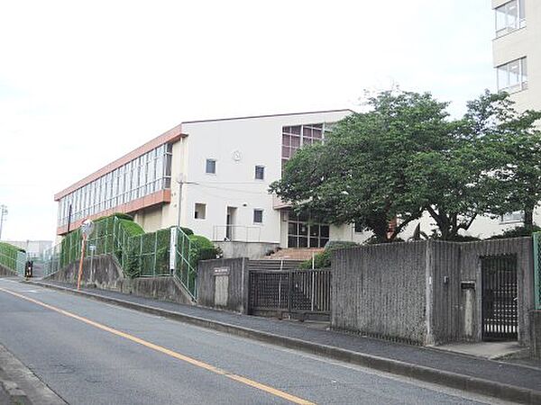 画像25:【中学校】阪南市立鳥取東中学校まで302ｍ