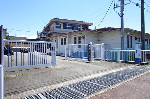 周辺：【小学校】泉南市立樽井小学校まで355ｍ