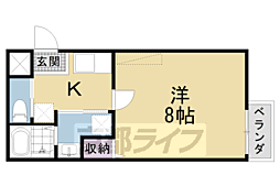 フラッティ烏丸十条 4階