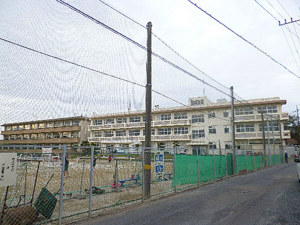 画像19:日立市立坂本中学校（446m）