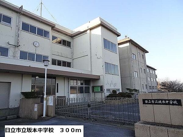 画像18:日立市坂本中学校まで300m
