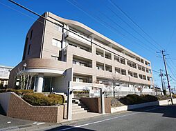 1 / 2