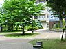 周辺：神宮通公園