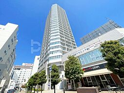 The Kashiwa Tower