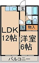 🉐敷金礼金0円！🉐ハイネス二宮