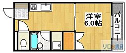 Tハイツ
