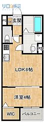 REGIES清荒神2 1LDKの間取図画像
