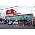 周辺：ドラッグストア 「サンドラック道場店まで290m」ヤックス道場店