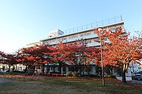 ラ・メール清水  ｜ 愛知県名古屋市中川区供米田1丁目503（賃貸アパート1LDK・1階・47.08㎡） その24